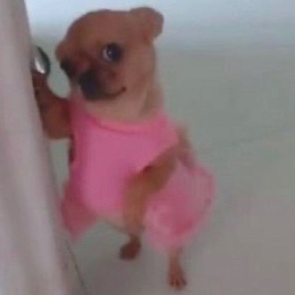 Meet your Posher, Kaleigh